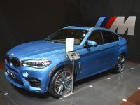 BMW X6 M Chicago 2015 (2015)