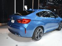 BMW X6M Los Angeles 2014 (2014)