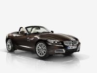 BMW Z4 Pure Fusion Design (2013)