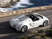 Bugatti Veyron 16.4 Grand Sport (2009) - picture 1 of 32