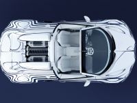 Bugatti Veyron Grand Sport L'Or Blanc (2011)
