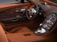 Bugatti Veyron Grand Sport Venet (2013)