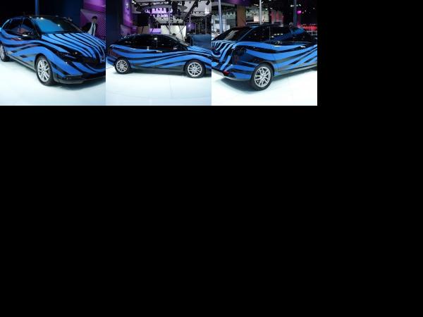 Shanghai BYD Denza Concept Shanghai 2013 (2013) - picture 1 of 3