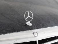 CFC Mercedes-Benz S65 AMG (2012)