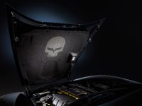 Chevrolet Corvette Jake Edition Concept (2010) - picture 4 of 6