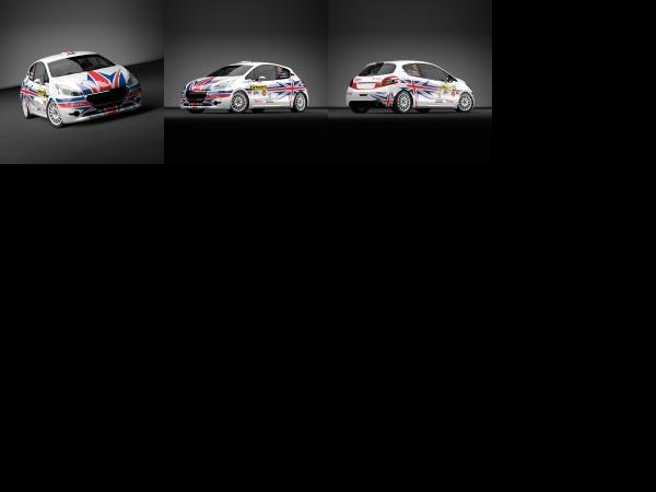 Peugeot Chris Ingram Peugeot 208 R2 (2014) - picture 1 of 3