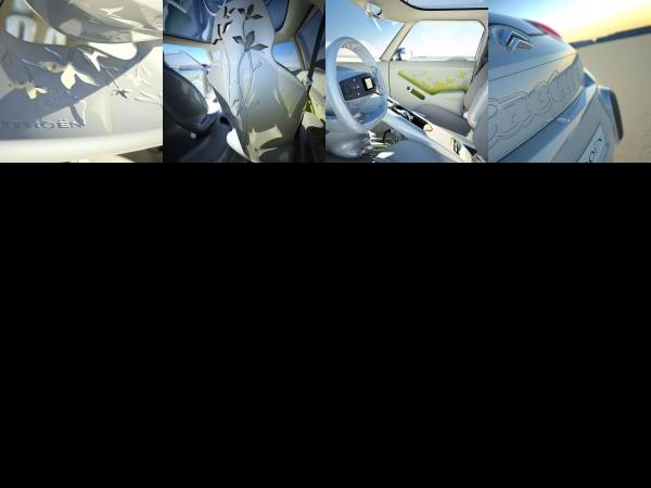 Citroen C-Cactus (2007) - picture 13 of 16