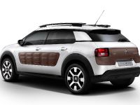 Citroen C4 Cactus (2014) - picture 3 of 27