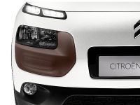 Citroen C4 Cactus (2014) - picture 4 of 27