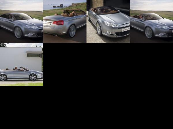 Citroen C5 Airscape (2007) - picture 1 of 5