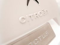 Citroen Cactus Concept (2013)
