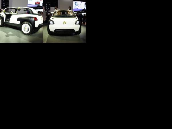 Paris Citroen Lacoste Paris 2010 (2010) - picture 1 of 2