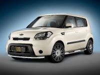 Cobra Kia Soul (2010)