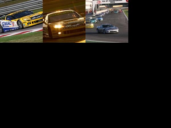 Chevrolet Corvette in Fia GT1 Race at Adria (2008) - picture 1 of 3