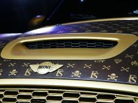 CoverEFX MINI Cooper Works (2011) - picture 8 of 18