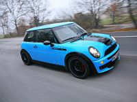 CoverEFX Mini Cooper (2011)