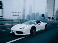 DMC Ferrari 458 Estremo And Elegante Monte Carlo Editions (2014) - picture 6 of 9