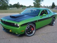 Dodge Challenger Targa (2008) - picture 5 of 5