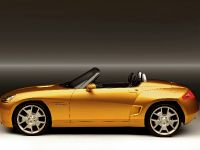 Dodge Demon (2007) - picture 4 of 25