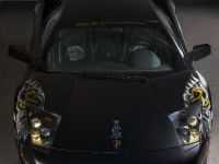 edo competition Lamborghini LP710 Audigier (2009) - picture 4 of 20