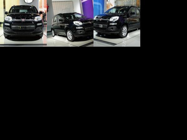 Frankfurt Fiat Panda Frankfurt 2011 (2011) - picture 1 of 3