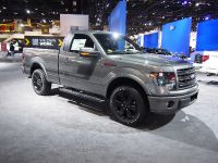 Ford F-150 Chicago 2014 (2014)