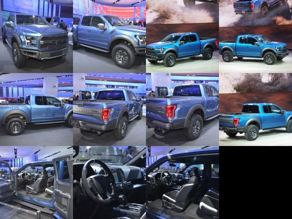 Detroit Ford F-150 Raptor Detroit 2015 (2015) - picture 1 of 11