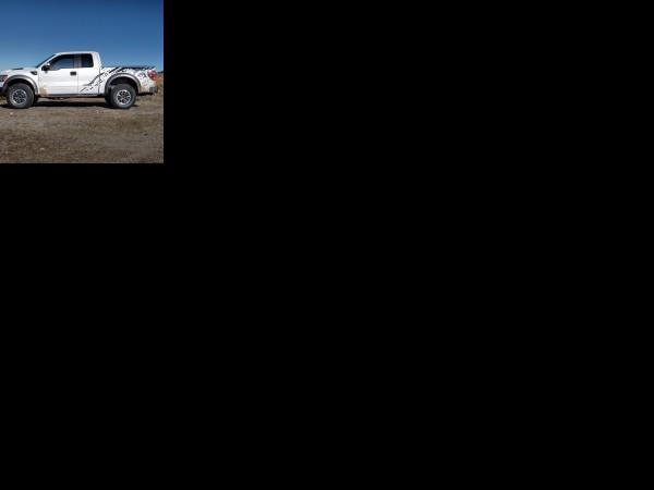 Ford F-150 SVT Raptor (2010) - picture 25 of 25