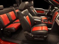 Ford F-150 SVT Raptor (2010) - picture 8 of 25