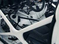 Ford Fiesta S2000 (2010)