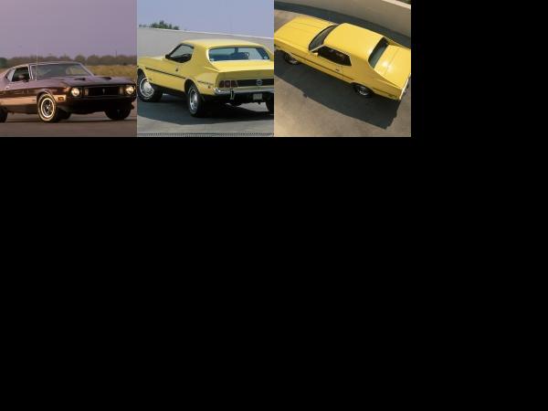Ford Mustang 1973 (1973) - picture 1 of 3