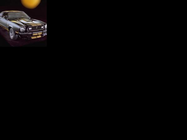 Ford Mustang 1975 (1975) - picture 1 of 1