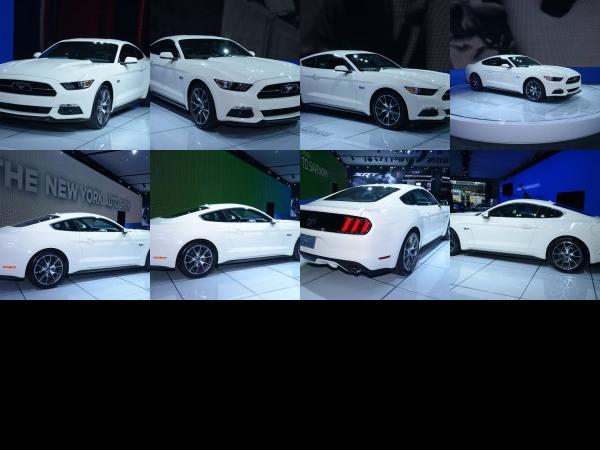 New York Ford Mustang 50 Year Limited Edition New York 2014 (2014) - picture 1 of 8