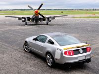 Ford Mustang AV-X10 Dearborn Doll (2010) - picture 6 of 13