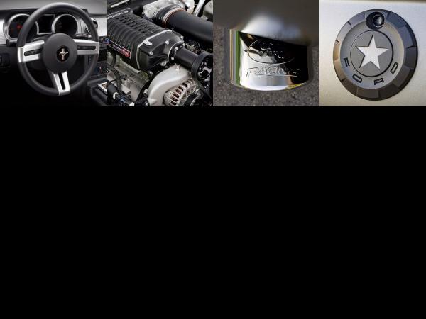 Ford Mustang AV8R (2009) - picture 13 of 16