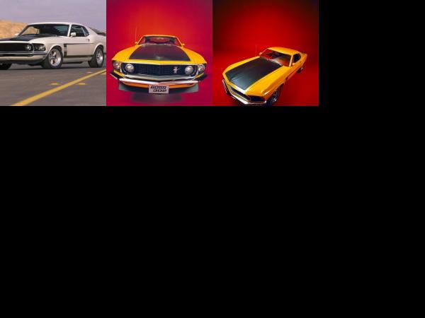 Ford Mustang Boss 302 1969 (1969) - picture 1 of 3