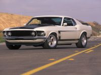 Ford Mustang Boss 302 1969 (1969)