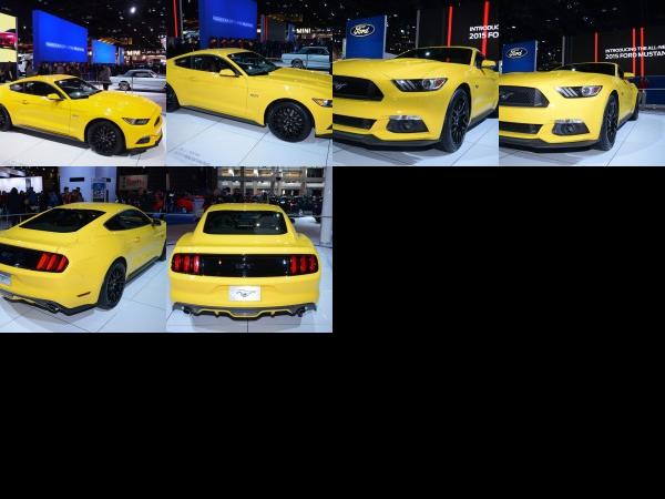 Chicago Ford Mustang Chicago 2014 (2014) - picture 1 of 6
