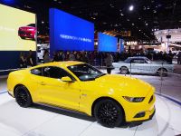 Ford Mustang Chicago 2014 (2014)