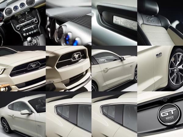 Ford Mustang GT 50 Year Limited Edition (2014) - picture 13 of 25