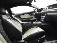 Ford Mustang GT 50 Year Limited Edition (2014)