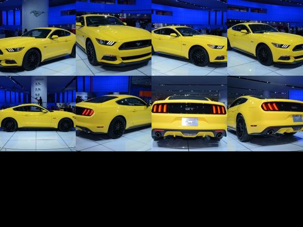 Detroit Ford Mustang GT Detroit 2014 (2014) - picture 1 of 8