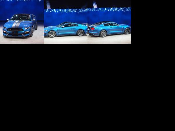 Detroit Ford Mustang GT350 R Detroit 2015 (2015) - picture 1 of 3