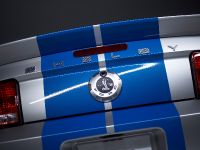 Ford Mustang Shelby GT500KR (2008) - picture 8 of 18