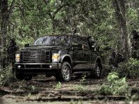 Ford Super Duty Cabela's FX4 Edition 2009 (2009)