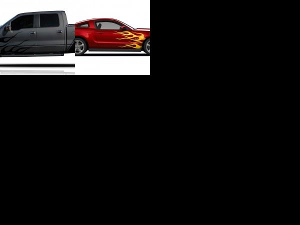 Ford Virtual Custom Graphics (2010) - picture 1 of 2