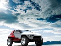 Fornasari Racing Buggy (2009)