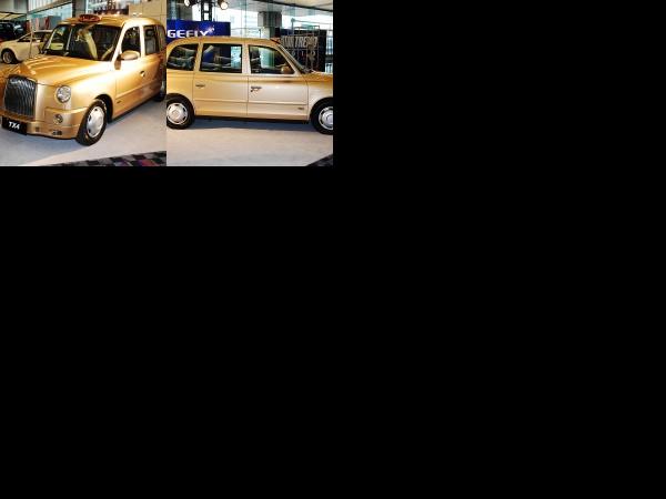 Detroit Geely TX4 Detroit 2008 (2008) - picture 1 of 2