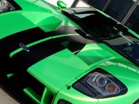 Geiger HP790 Ford GT (2009) - picture 7 of 8