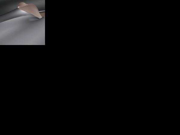 BMW Gina (2008) - picture 13 of 13